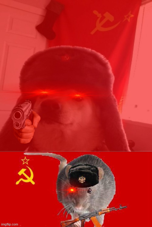 image tagged in soviet doge | made w/ Imgflip meme maker