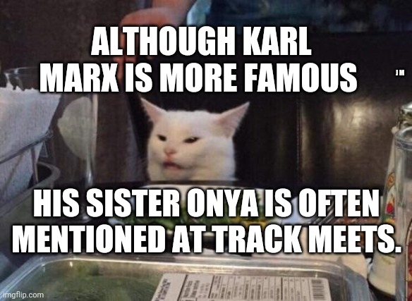 Salad cat | ALTHOUGH KARL MARX IS MORE FAMOUS; J M; HIS SISTER ONYA IS OFTEN MENTIONED AT TRACK MEETS. | image tagged in salad cat | made w/ Imgflip meme maker