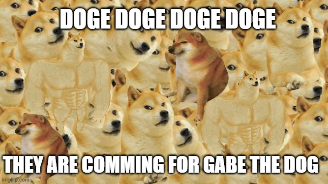 doge doge doge doge doge doge doge doge doge cheems | DOGE DOGE DOGE DOGE; THEY ARE COMMING FOR GABE THE DOG | image tagged in memes,multi doge | made w/ Imgflip meme maker