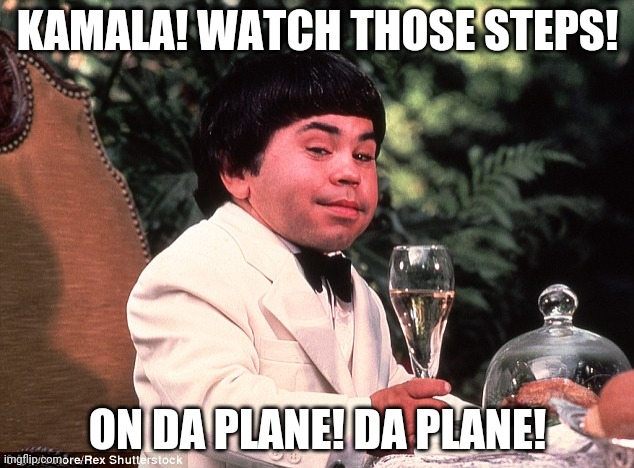 herve | KAMALA! WATCH THOSE STEPS! ON DA PLANE! DA PLANE! | image tagged in herve | made w/ Imgflip meme maker