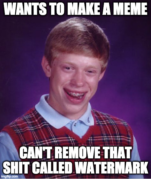 F**king watermark! | WANTS TO MAKE A MEME; CAN'T REMOVE THAT SHIT CALLED WATERMARK | image tagged in memes,bad luck brian | made w/ Imgflip meme maker