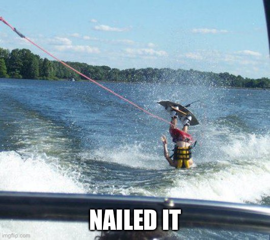 Nailed It Meme | NAILED IT | image tagged in memes,nailed it | made w/ Imgflip meme maker