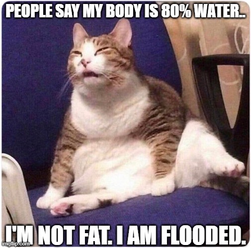 Biologi | PEOPLE SAY MY BODY IS 80% WATER.. I'M NOT FAT. I AM FLOODED. | image tagged in fat cat | made w/ Imgflip meme maker
