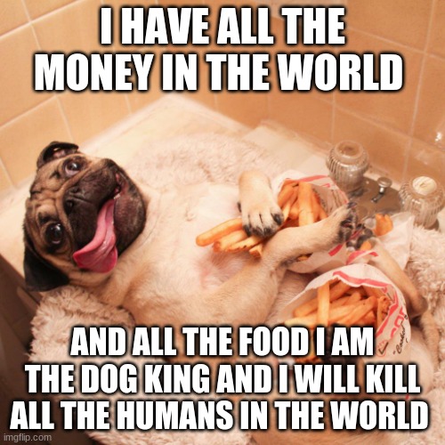 Fryday Pug | I HAVE ALL THE MONEY IN THE WORLD; AND ALL THE FOOD I AM THE DOG KING AND I WILL KILL ALL THE HUMANS IN THE WORLD | image tagged in fryday pug | made w/ Imgflip meme maker