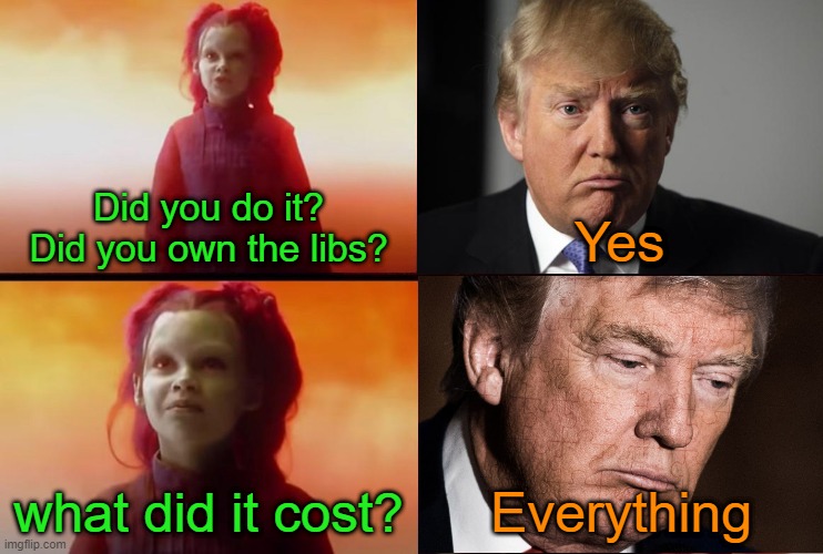 What more will it cost? | Did you do it? Did you own the libs? Yes; what did it cost? Everything | image tagged in thanos what did it cost,trump,republicans,liberals,democrats | made w/ Imgflip meme maker