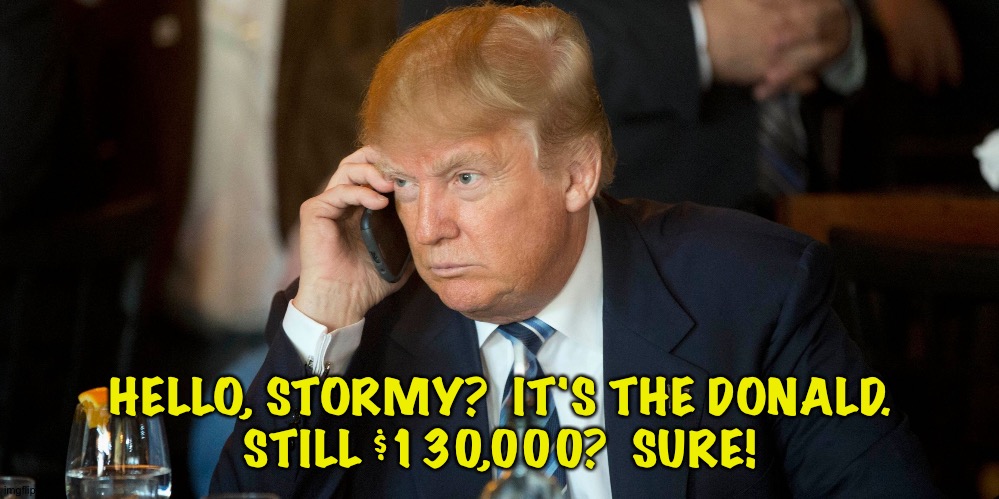 The Donald | HELLO, STORMY?  IT'S THE DONALD.
STILL $130,000?  SURE! | image tagged in trump on phone | made w/ Imgflip meme maker