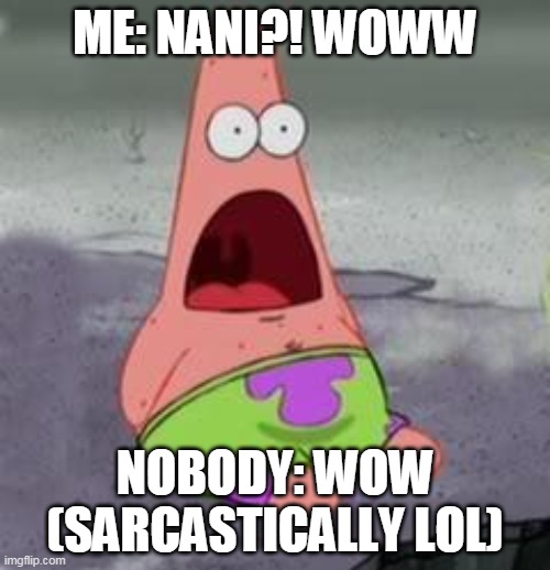 WOWWWWWWWWWWWWWWWWWWWWWWWWWWWWWWWW | ME: NANI?! WOWW; NOBODY: WOW (SARCASTICALLY LOL) | image tagged in suprised patrick | made w/ Imgflip meme maker