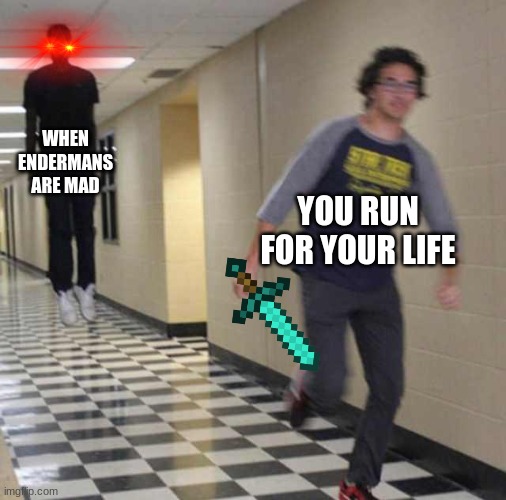 when enderman chasing you | WHEN ENDERMANS ARE MAD; YOU RUN FOR YOUR LIFE | image tagged in enderman,steve,minecraft | made w/ Imgflip meme maker