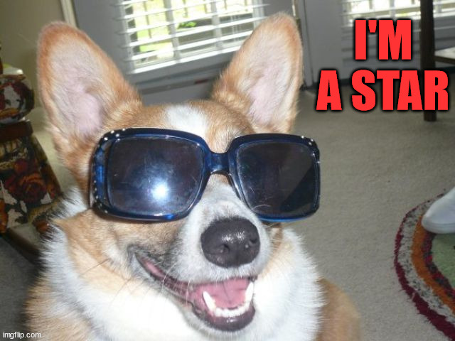 I'M A STAR | made w/ Imgflip meme maker