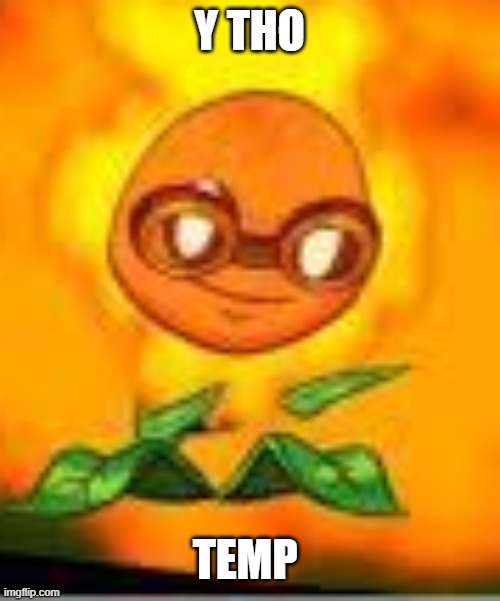 solar flare y tho | TEMP | image tagged in solar flare y tho | made w/ Imgflip meme maker