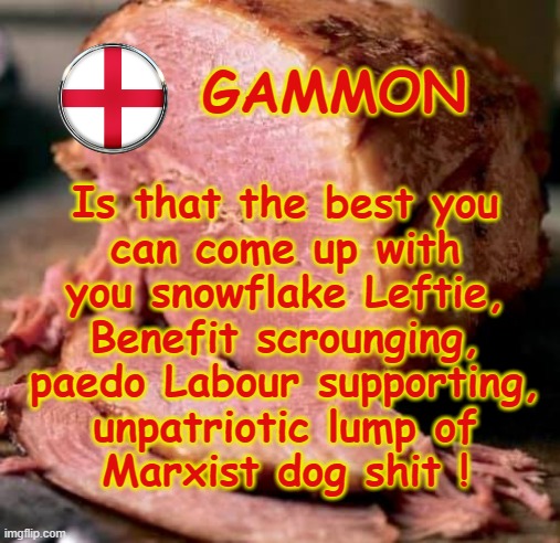 Gammon ! | GAMMON; Is that the best you
can come up with
you snowflake Leftie,
Benefit scrounging,
paedo Labour supporting,
unpatriotic lump of
Marxist dog shit ! | image tagged in groucho marx | made w/ Imgflip meme maker