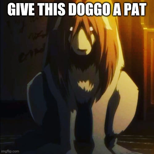 GIVE THIS DOGGO A PAT | image tagged in fullmetal alchemist,dog,chimaera | made w/ Imgflip meme maker