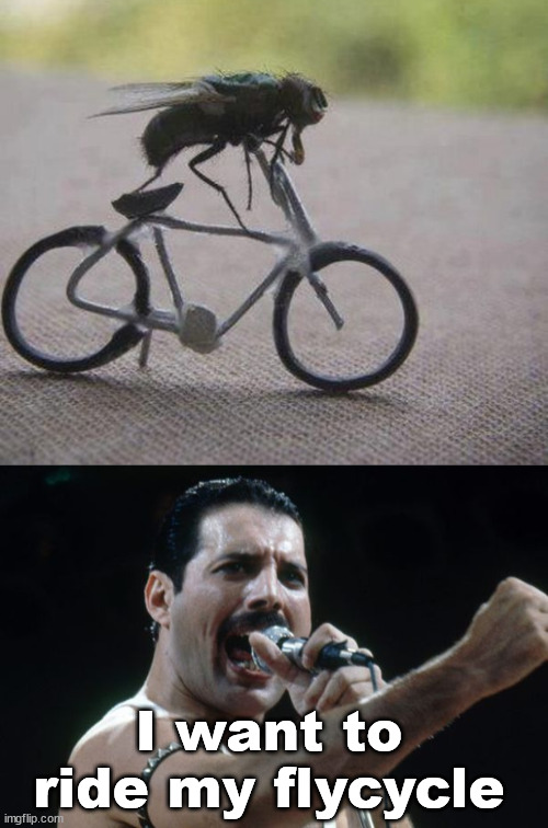 I want to ride my flycycle | image tagged in freddie mercury,eye roll | made w/ Imgflip meme maker
