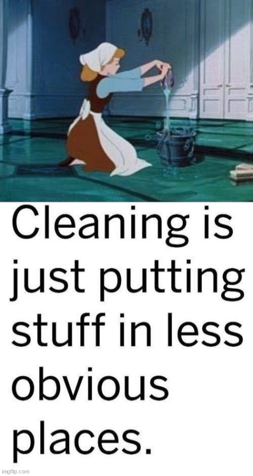 image tagged in cinderella cleaning | made w/ Imgflip meme maker