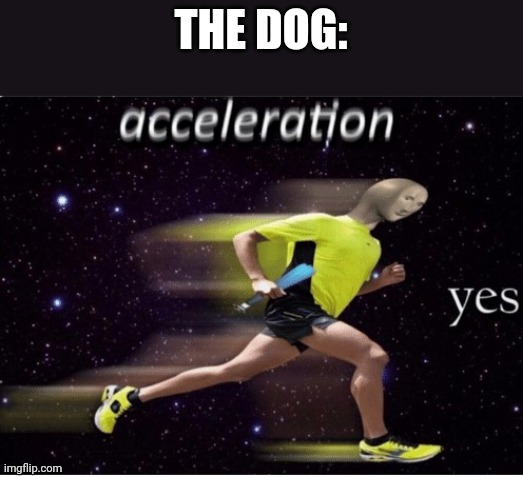 Acceleration yes | THE DOG: | image tagged in acceleration yes | made w/ Imgflip meme maker