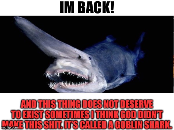 IM BACK BABY! | IM BACK! AND THIS THING DOES NOT DESERVE TO EXIST SOMETIMES I THINK GOD DIDN’T MAKE THIS SHIT. IT’S CALLED A GOBLIN SHARK. | made w/ Imgflip meme maker