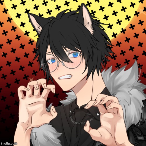 POV: You meet a submissive wolf named Hinote,he follows you around and dose whatever you say.One day you find him motionless on  | image tagged in imma just leave this here,oops,pov | made w/ Imgflip meme maker