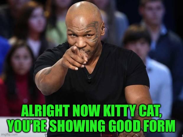Mike Tyson | ALRIGHT NOW KITTY CAT,
YOU’RE SHOWING GOOD FORM | image tagged in mike tyson | made w/ Imgflip meme maker