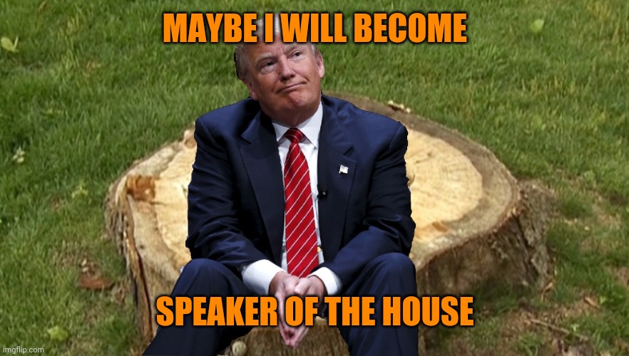 Trump on a stump | MAYBE I WILL BECOME; SPEAKER OF THE HOUSE | image tagged in trump on a stump | made w/ Imgflip meme maker