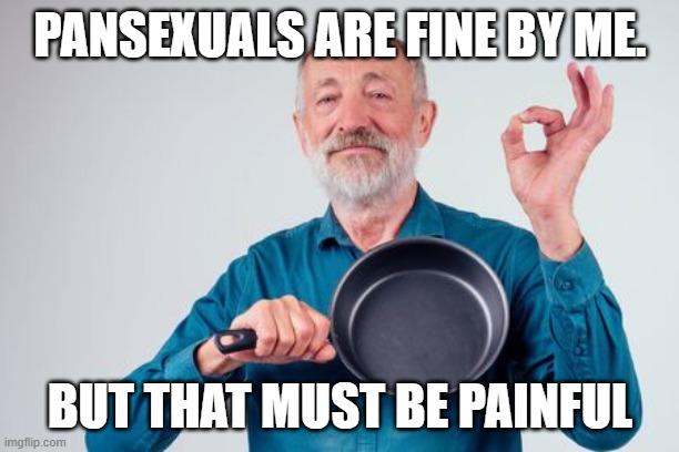 PANSEXUALS ARE FINE BY ME. BUT THAT MUST BE PAINFUL | made w/ Imgflip meme maker