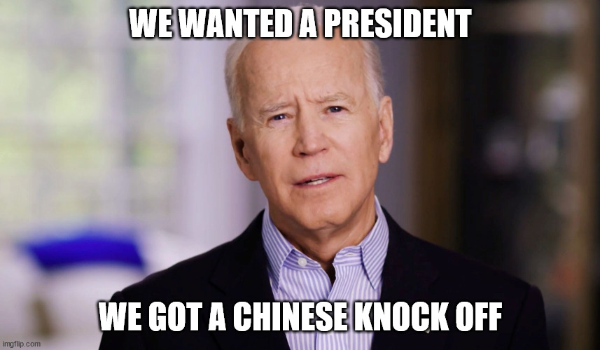 Joe Sucks | WE WANTED A PRESIDENT; WE GOT A CHINESE KNOCK OFF | image tagged in joe biden 2020 | made w/ Imgflip meme maker