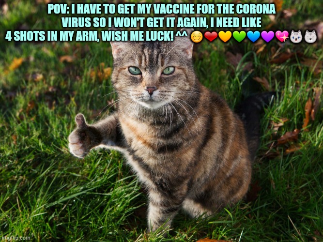 Cya guys! | POV: I HAVE TO GET MY VACCINE FOR THE CORONA VIRUS SO I WON'T GET IT AGAIN, I NEED LIKE 4 SHOTS IN MY ARM, WISH ME LUCK! ^^ 😊❤💛💚💙💜💖😺😸 | image tagged in thumbs up cat,made by bob_fnf,cats,memes | made w/ Imgflip meme maker