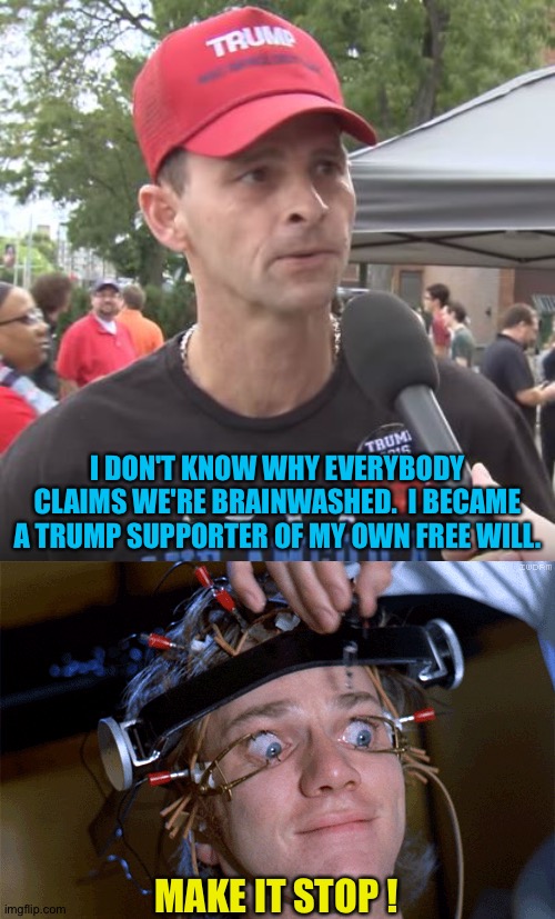 Supporting Trump | I DON'T KNOW WHY EVERYBODY CLAIMS WE'RE BRAINWASHED.  I BECAME A TRUMP SUPPORTER OF MY OWN FREE WILL. MAKE IT STOP ! | image tagged in trump supporter,eyes wide open | made w/ Imgflip meme maker