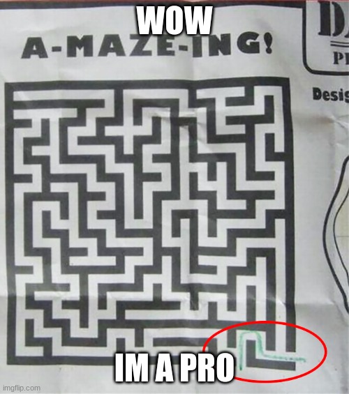 Am Pro | WOW; IM A PRO | image tagged in funny | made w/ Imgflip meme maker