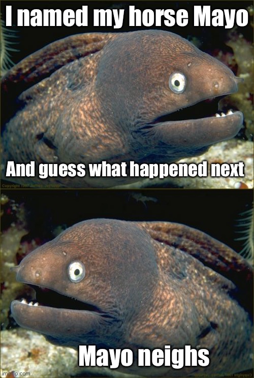 Dad jokes suck | I named my horse Mayo; And guess what happened next; Mayo neighs | image tagged in memes,bad joke eel,dad joke,crappy memes | made w/ Imgflip meme maker