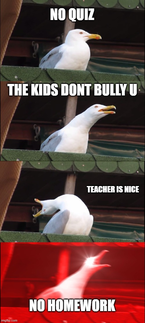 First Day Of Frikn School | NO QUIZ; THE KIDS DONT BULLY U; TEACHER IS NICE; NO HOMEWORK | image tagged in memes,inhaling seagull | made w/ Imgflip meme maker