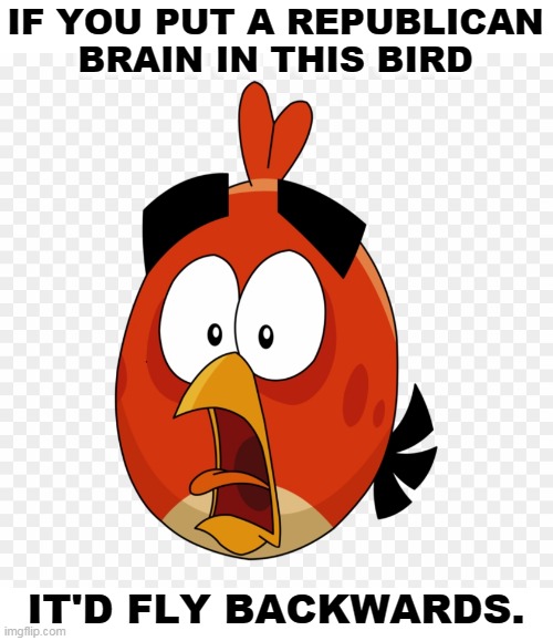 IF YOU PUT A REPUBLICAN BRAIN IN THIS BIRD; IT'D FLY BACKWARDS. | image tagged in republican,bird,brain,backwards | made w/ Imgflip meme maker