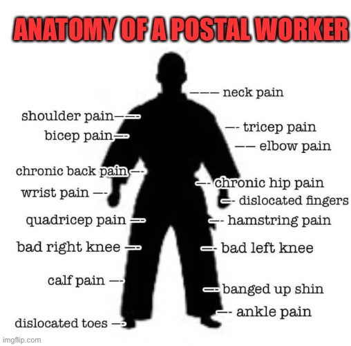 Anatomy of a Postal Worker | image tagged in postal worker,usps,us postal service,us postal employee,anatomy,pain | made w/ Imgflip meme maker