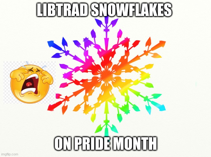 stop whining already! | LIBTRAD SNOWFLAKES; ON PRIDE MONTH | image tagged in libtards | made w/ Imgflip meme maker