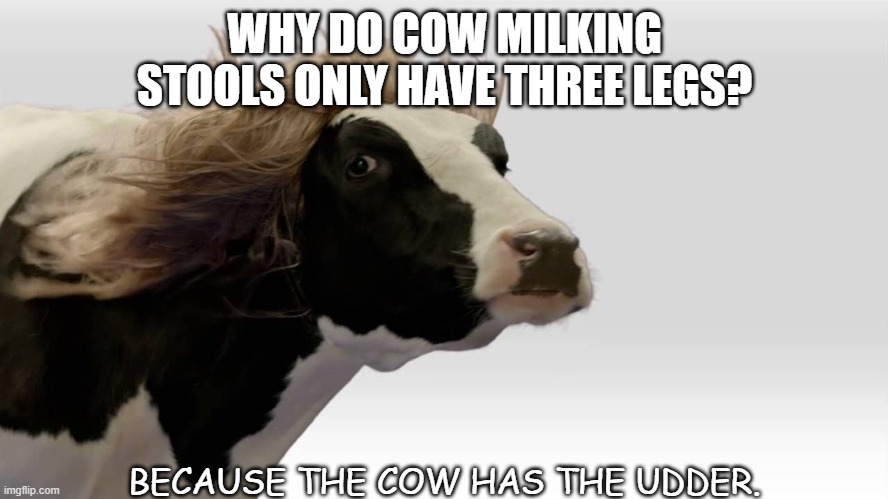 Daily Bad Dad Joke 06/08/2021 | WHY DO COW MILKING STOOLS ONLY HAVE THREE LEGS? BECAUSE THE COW HAS THE UDDER. | image tagged in fabio cow | made w/ Imgflip meme maker