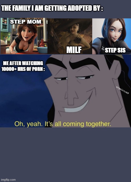 years of academic training used | THE FAMILY I AM GETTING ADOPTED BY :; STEP MOM; MILF; STEP SIS; ME AFTER WATCHING 10000+ HRS OF PORN :; u/gairick9 | image tagged in it's all coming together | made w/ Imgflip meme maker