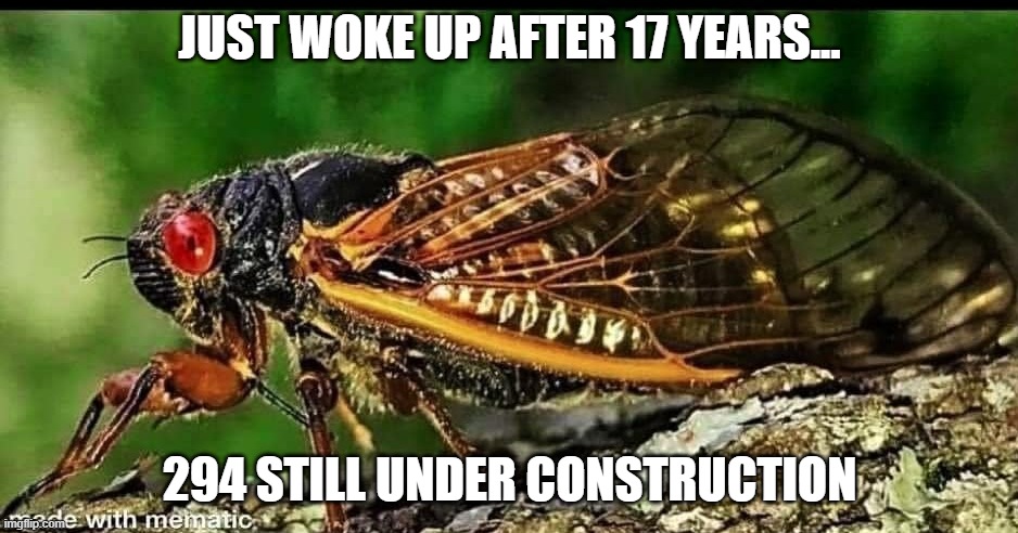 JUST WOKE UP AFTER 17 YEARS... 294 STILL UNDER CONSTRUCTION | image tagged in cicada | made w/ Imgflip meme maker