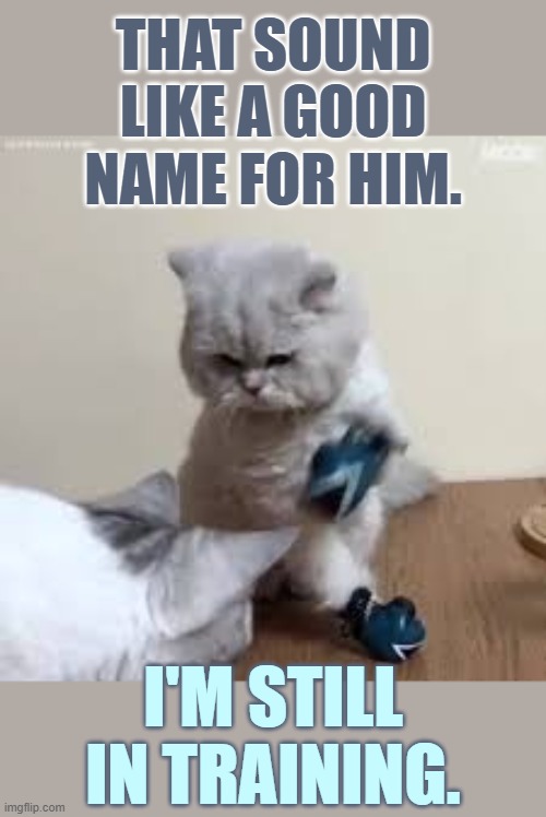 THAT SOUND LIKE A GOOD NAME FOR HIM. I'M STILL IN TRAINING. | made w/ Imgflip meme maker