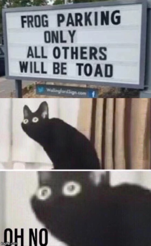 Dad Joke Alert! | image tagged in oh no cat,dad joke,funny sign,lol,barney will eat all of your delectable biscuits,stop reading the tags | made w/ Imgflip meme maker