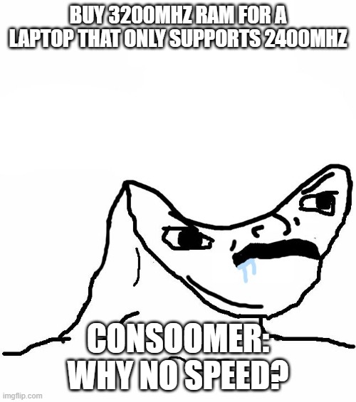 Angry Brainlet  |  BUY 3200MHZ RAM FOR A LAPTOP THAT ONLY SUPPORTS 2400MHZ; CONSOOMER: WHY NO SPEED? | image tagged in angry brainlet | made w/ Imgflip meme maker