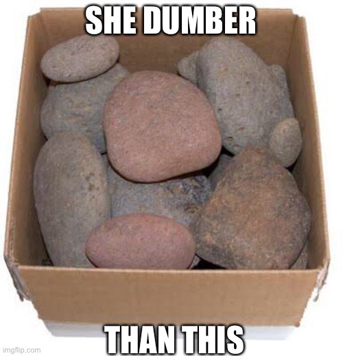 Box of Rocks | SHE DUMBER THAN THIS | image tagged in box of rocks | made w/ Imgflip meme maker