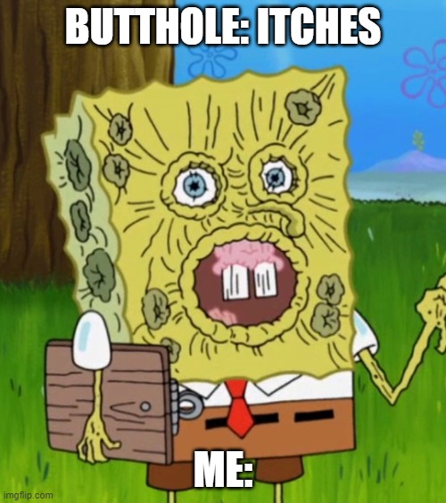 SpongeBob shriveled | BUTTHOLE: ITCHES; ME: | image tagged in spongebob shriveled | made w/ Imgflip meme maker