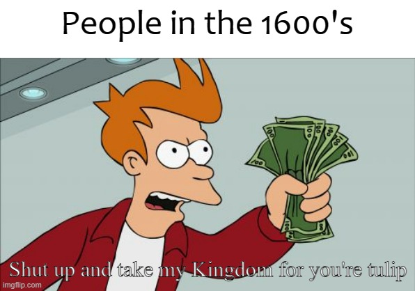 They were weird back then | People in the 1600's; Shut up and take my Kingdom for you're tulip | image tagged in memes,shut up and take my money fry,1600's | made w/ Imgflip meme maker
