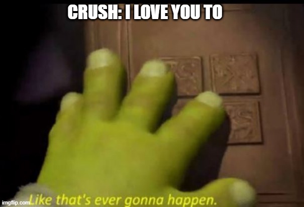 me irl | CRUSH: I LOVE YOU TO | image tagged in like thats ever gonna happen | made w/ Imgflip meme maker