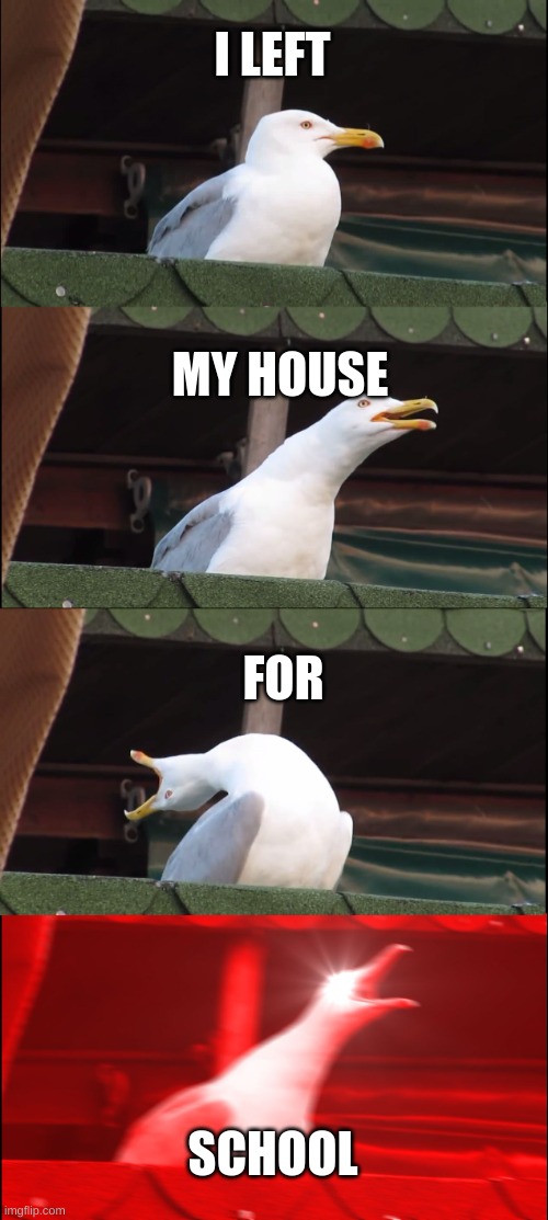 I LEFT MY HOUSE FOR SCHOOL | image tagged in memes,inhaling seagull | made w/ Imgflip meme maker