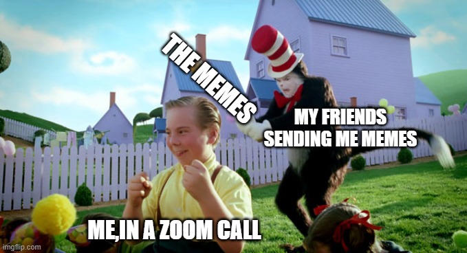 My fRiEnDs sEnD mE MeMeS DuRiNg ZoOm cAllS | THE MEMES; MY FRIENDS SENDING ME MEMES; ME,IN A ZOOM CALL | image tagged in cat in the hat with a bat ______ colorized | made w/ Imgflip meme maker