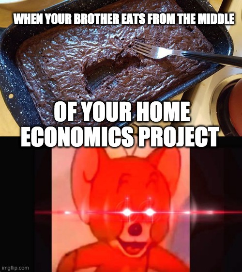 home ec. and brothers...not a good combo | WHEN YOUR BROTHER EATS FROM THE MIDDLE; OF YOUR HOME ECONOMICS PROJECT | image tagged in high school,brothers | made w/ Imgflip meme maker