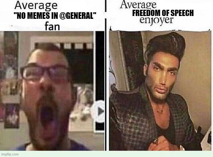 Do people read these? | FREEDOM OF SPEECH; "NO MEMES IN @GENERAL" | image tagged in average blank fan vs average blank enjoyer | made w/ Imgflip meme maker