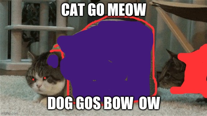 EVIL CAT X1111113333333334444444444 | CAT GO MEOW; DOG GOS BOW  OW | image tagged in doge,grumpy cat | made w/ Imgflip meme maker