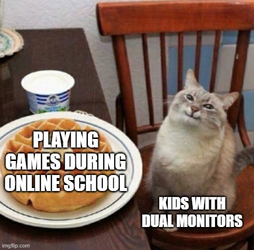 ONLINE KIDS  WITH DUAL MONITORS BE LIKE | PLAYING GAMES DURING ONLINE SCHOOL; KIDS WITH DUAL MONITORS | image tagged in cat likes their waffle | made w/ Imgflip meme maker