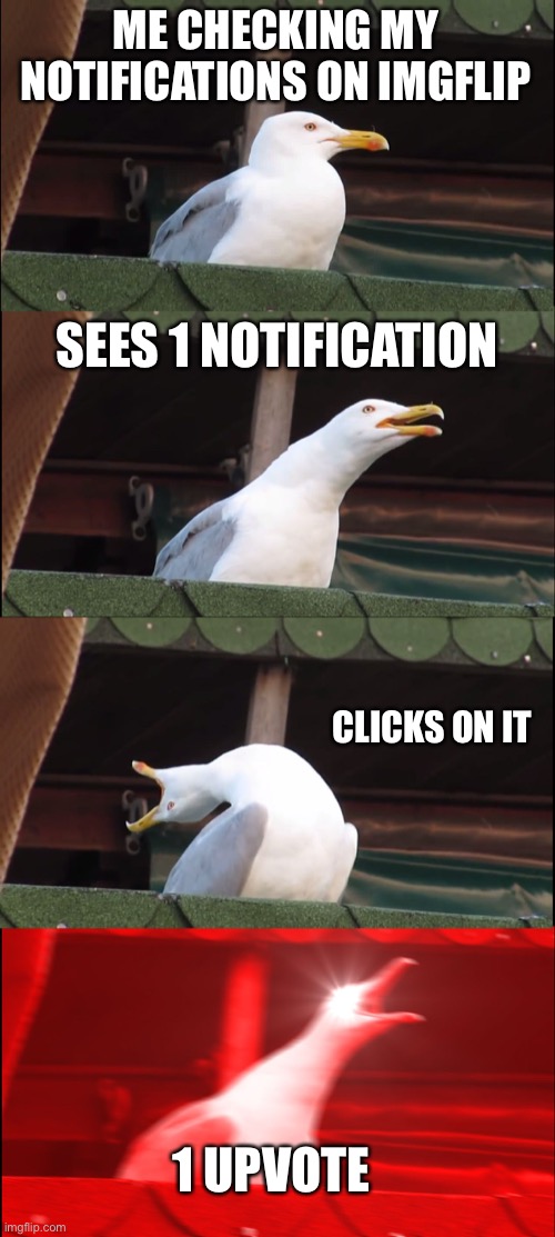 Inhaling Seagull Meme | ME CHECKING MY NOTIFICATIONS ON IMGFLIP SEES 1 NOTIFICATION CLICKS ON IT 1 UPVOTE | image tagged in memes,inhaling seagull | made w/ Imgflip meme maker